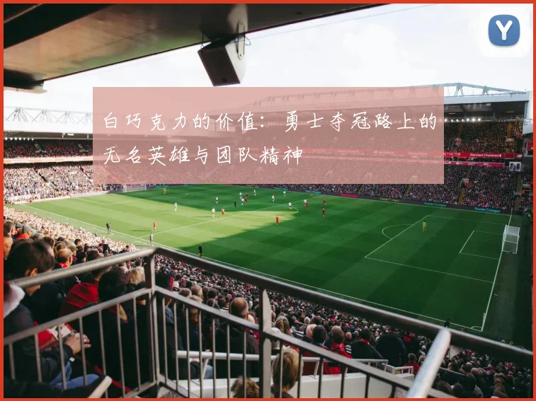 白巧克力的价值：勇士夺冠路上的无名英雄与团队精神